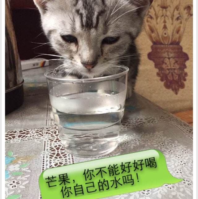 雷利办理假毕业证